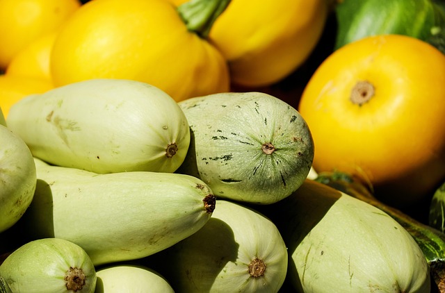 収穫したばかりの新鮮な野菜