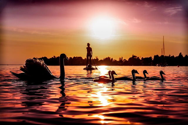 SUPで湖を漕ぐ女性と夕日