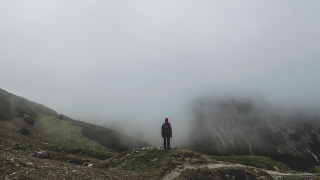 登山ポールを持つハイカーが山道を歩く様子