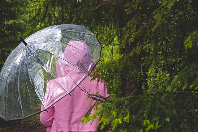 キャンプで雨に降られ困っている様子