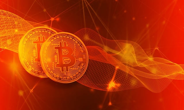 仮想通貨取引所を選ぶステップ