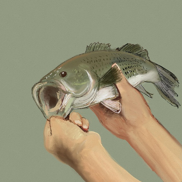 渓流釣りのステップガイドを示すイラスト