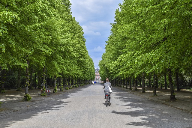 美しい景色の中をサイクリングする人