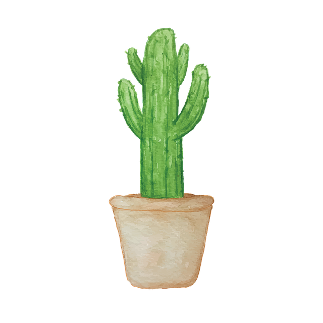 観葉植物の植え替えをしている手元