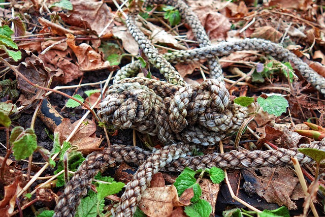 スロークッカーの電源コードとコンセント、安全確認のイメージ