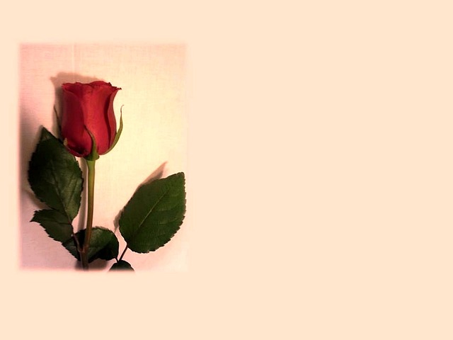 楽しそうにカメラを構え、レンズを通して世界を切り取る喜びを感じている人物のイメージ