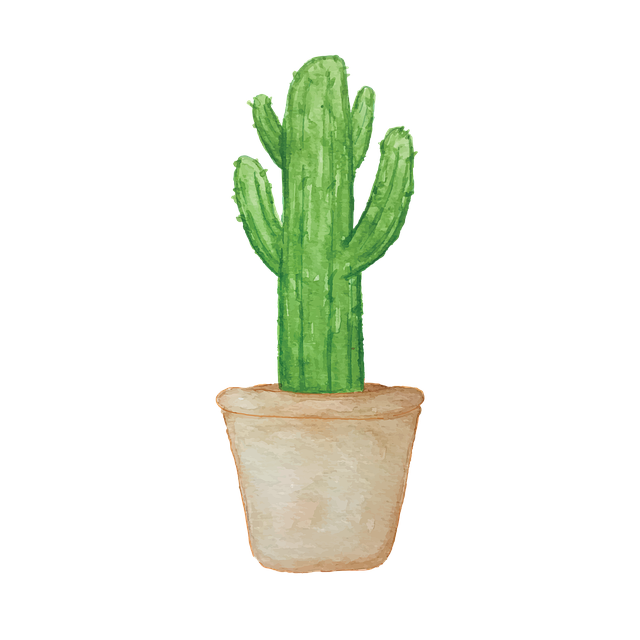 観葉植物の植え替え作業をする手元