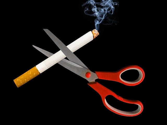 様々な種類の燻製チップと燻製器