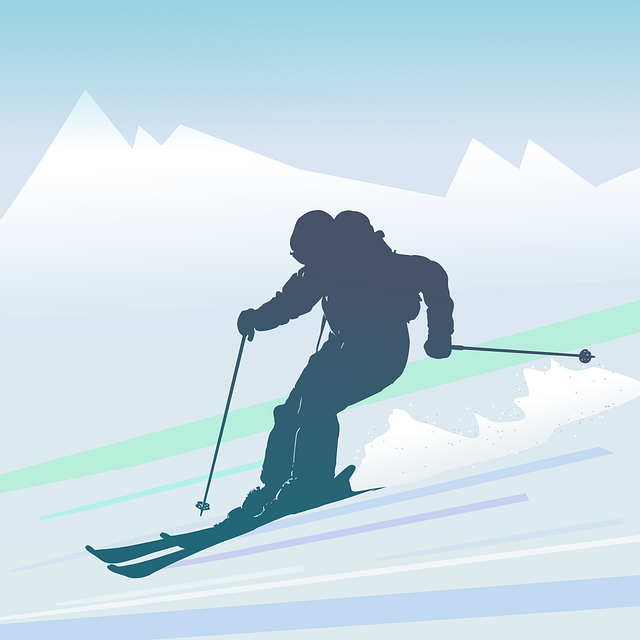 雪山を滑走するスキーヤーの楽しそうな様子