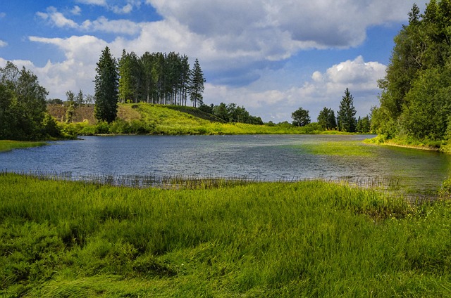 レジンクラフトの制作ステップ