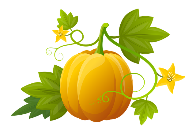 分離したドレッシングと注意喚起のイラスト