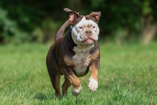 リコーダーを吹いて楽しそうにしている人のイメージ