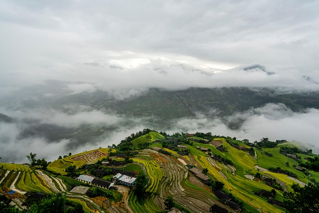 電子辞書を選ぶためのステップが図解されたイメージ