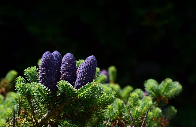 ボウリングの基本フォームを練習する人