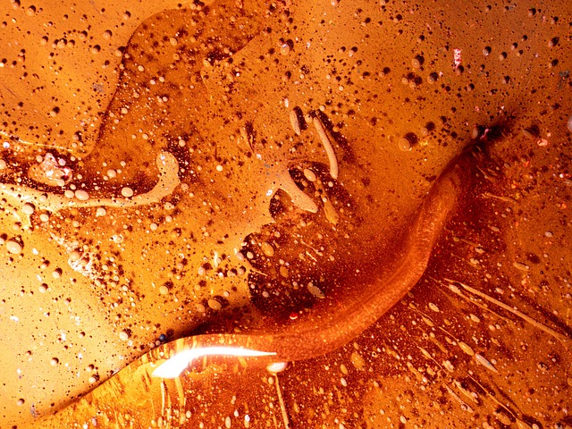 完成したばかりの鮮やかな油絵作品