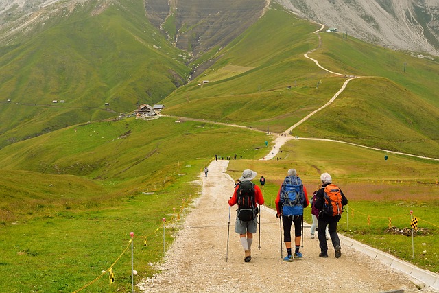 雨の中、レインウェアを着て慎重に山道を歩く登山者