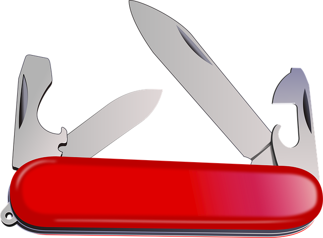 キャンプ道具が整然と並べられ、準備が完了したキャンプサイト