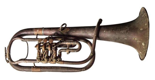 トランペットを手に持ち、これから始める初心者